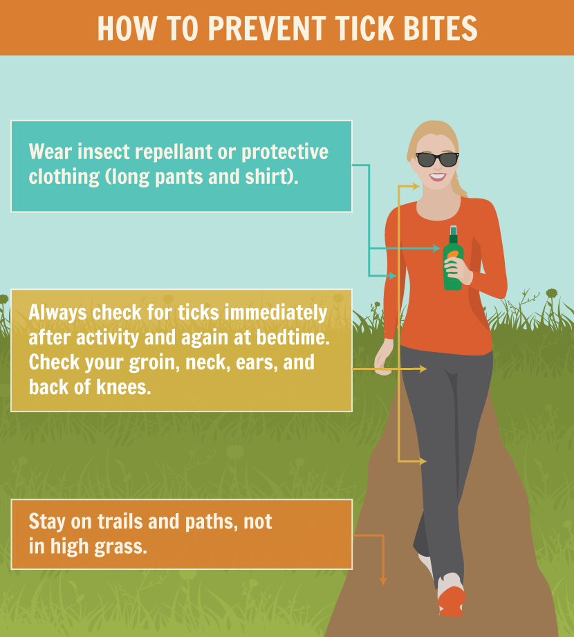 infographic with tips on preventing tick bites