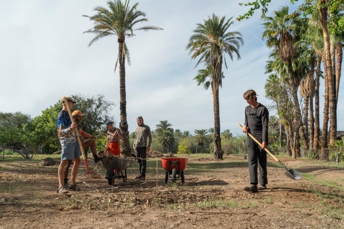 5 gap year students working with shovels beneath palm trees