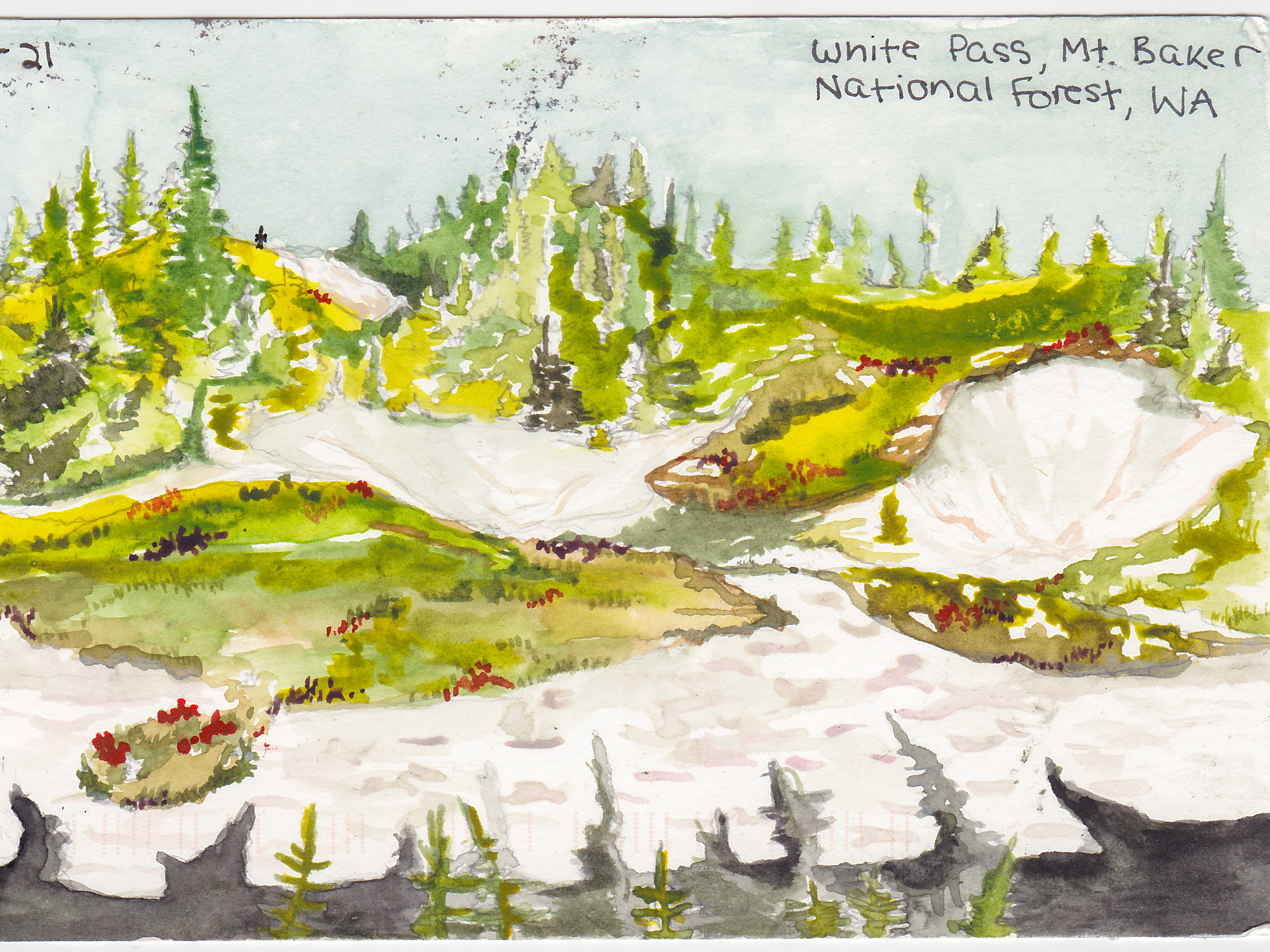 Watercolor painting of White Pass in the Mt. Baker National Forest with green grass and red flowers mixed with snowfields and trees in the distance.