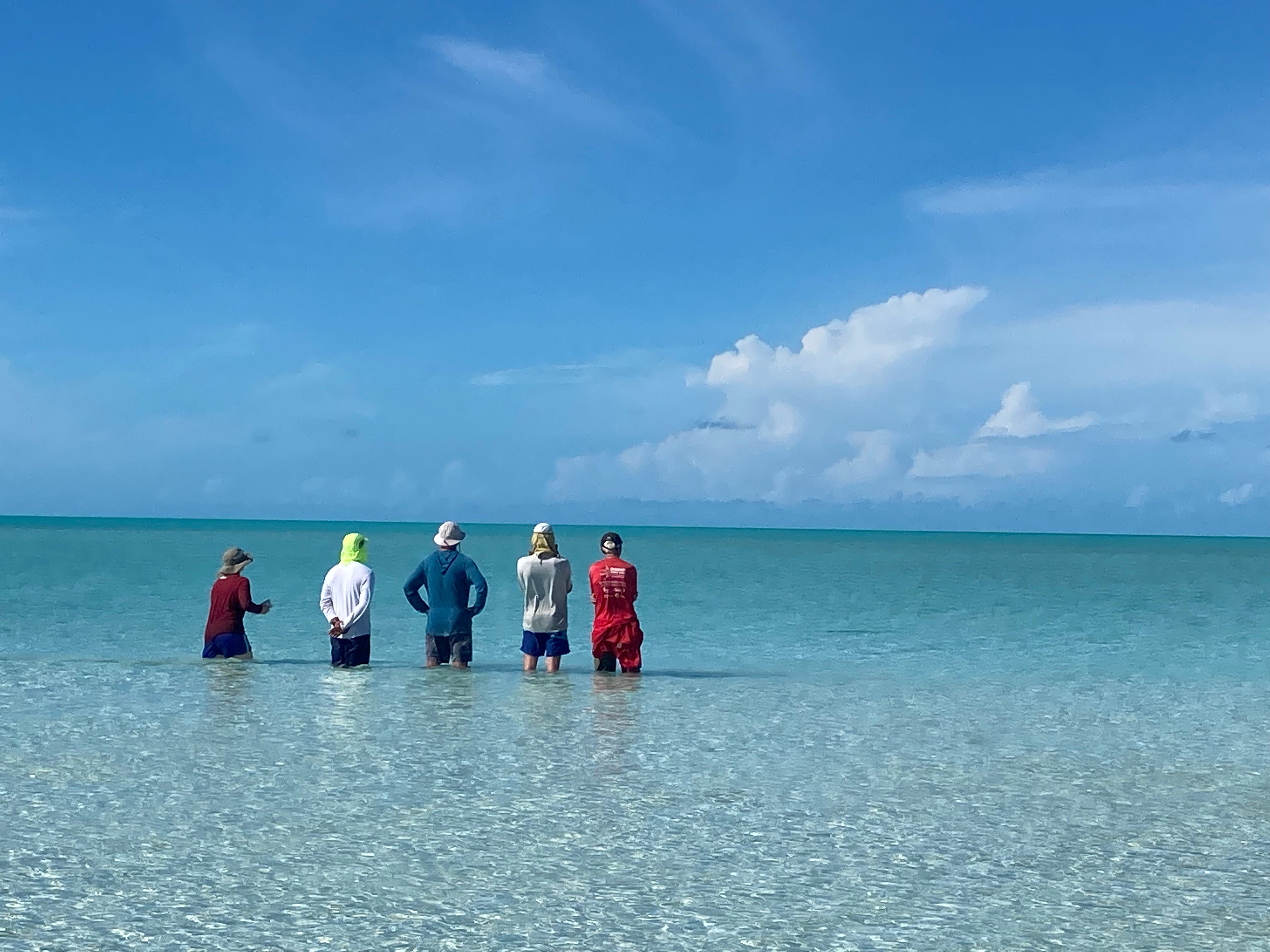 5 NOLS alumni standing in the calm water looking out across the open ocean