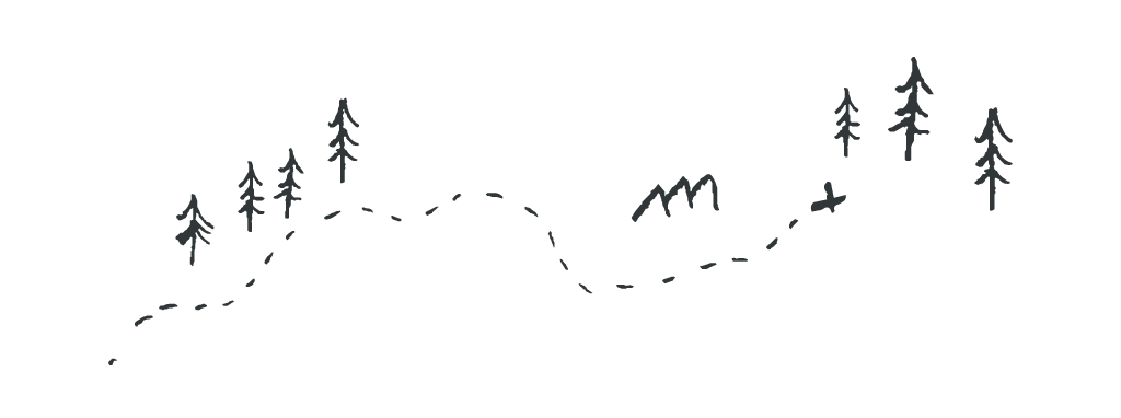 Line drawing of trees with dotted line conneecting them