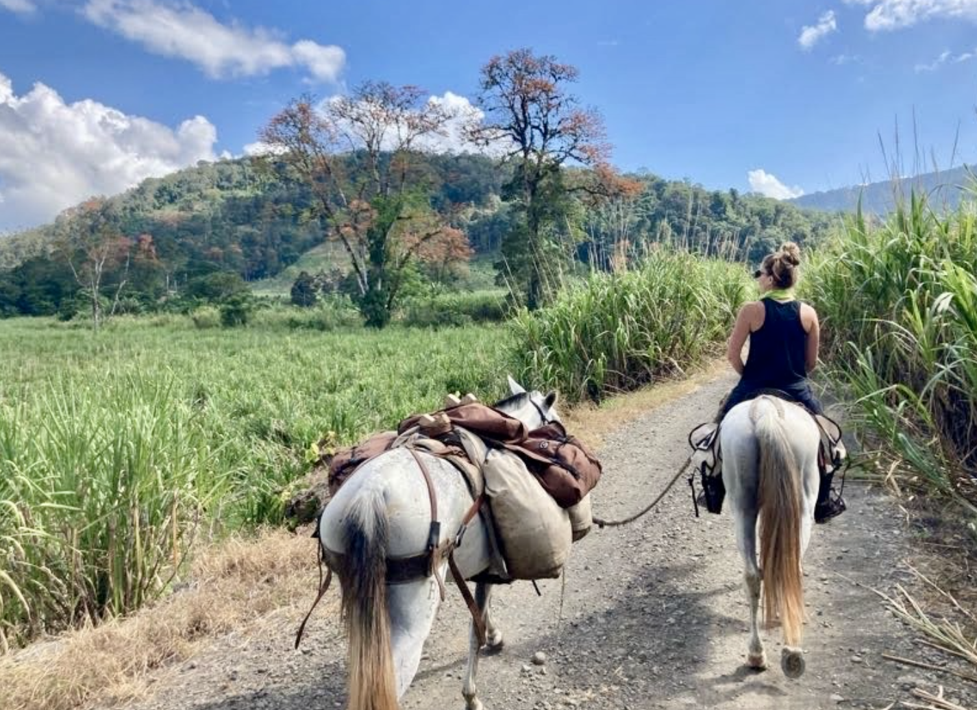 Costa Rica 8