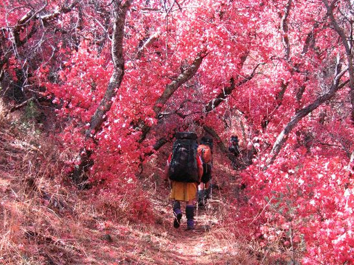 Backpacking in the Galiuro Wilderness