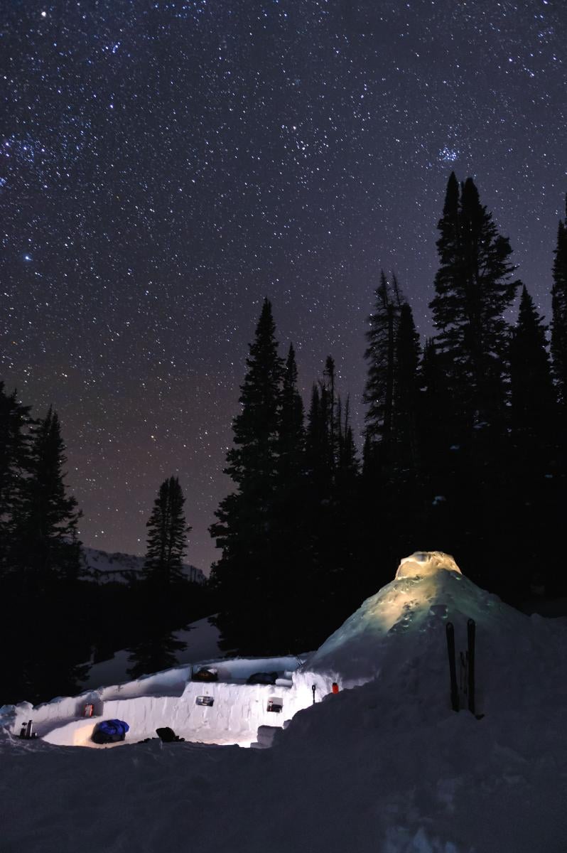 star-studded sky above dark pines and snow shelter on a NOLS winter course