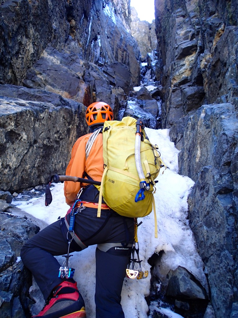 Pedro Climbing