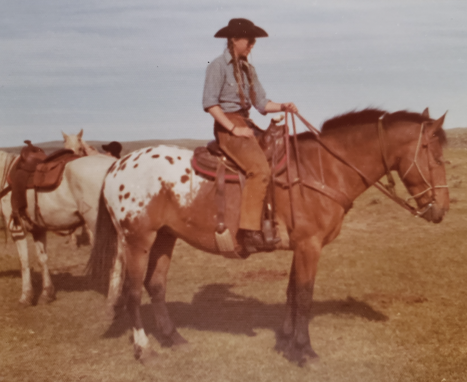 Kate D on horse 2