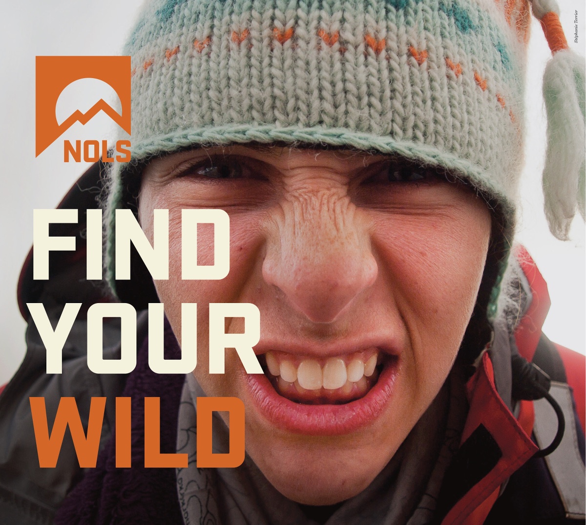 Find your wild