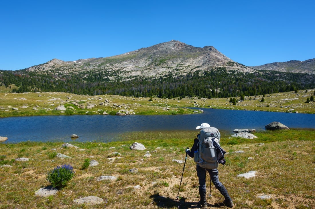 Hiker pauses to enjoy the view in a mountain meadow