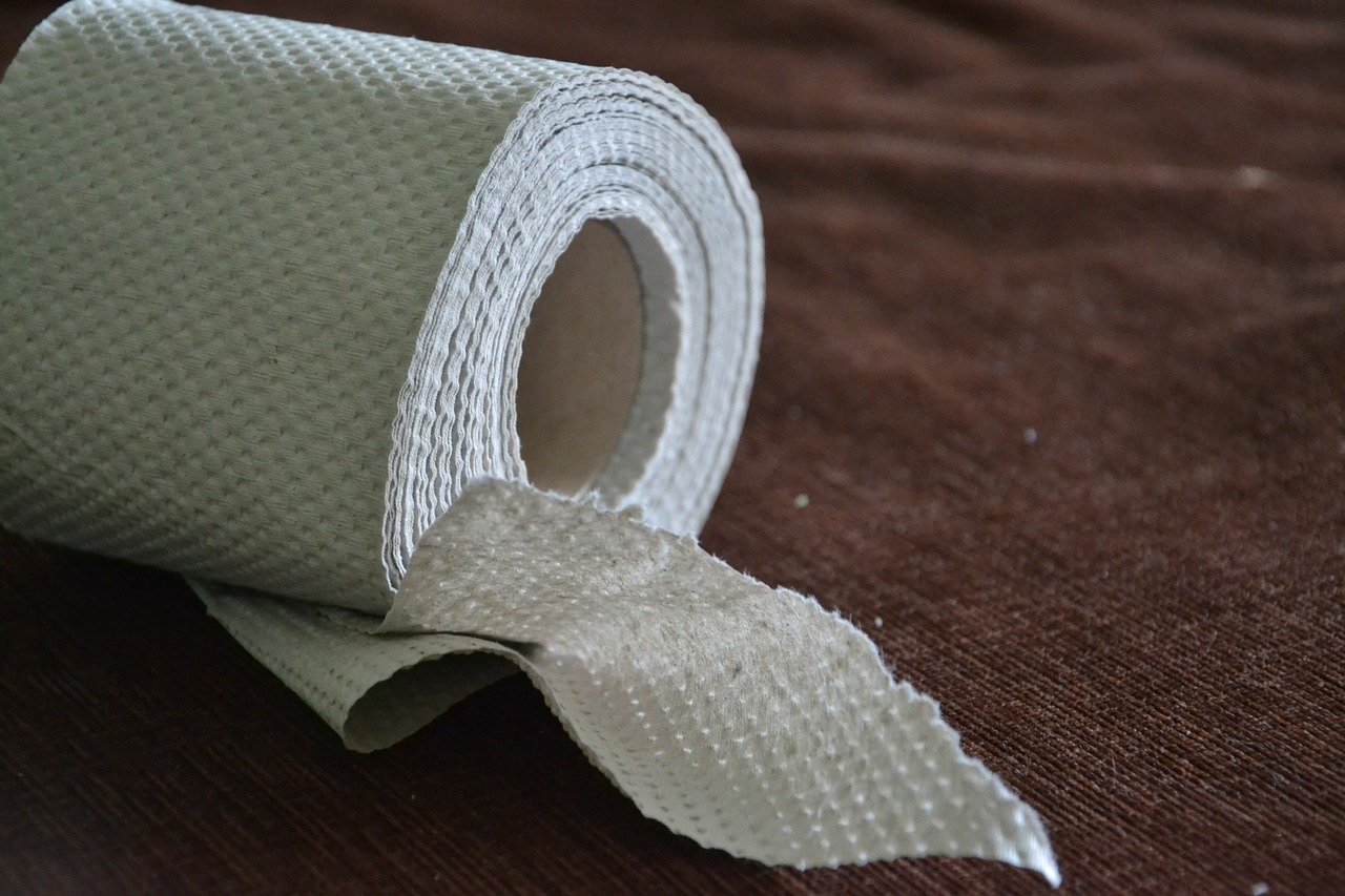 Roll of clean toilet paper