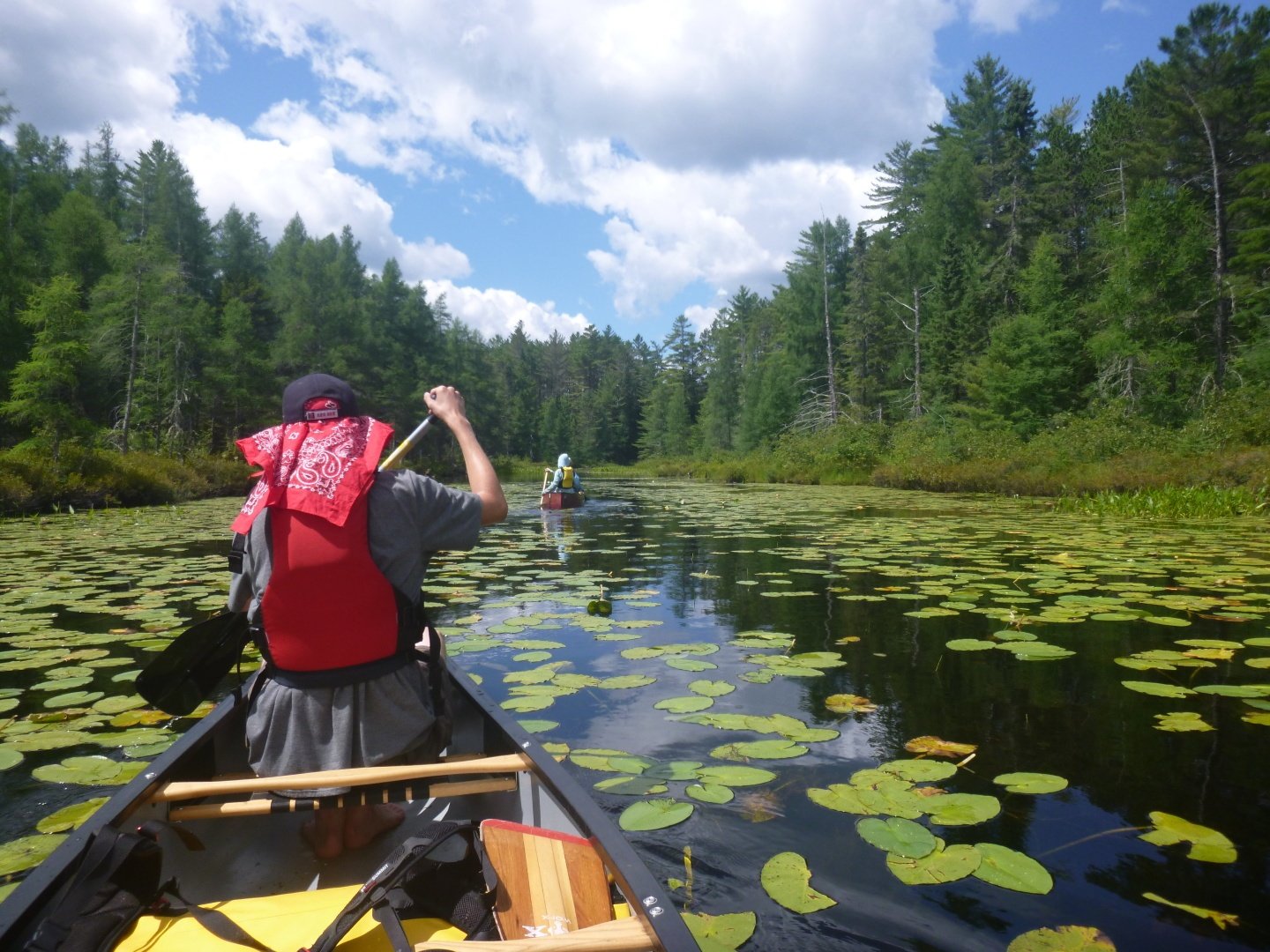 person sitting in the bow of a canoe wearing red bandana and life jacket while paddling through a lake full of lily pads