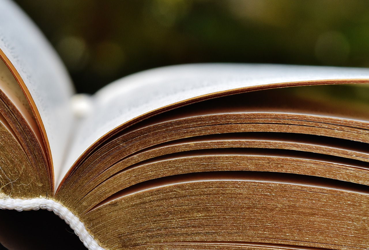 close-up of an open book with yellowed page edges