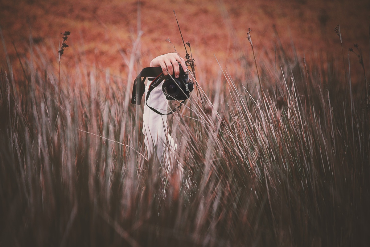 arm holding camera pops out of tall grass