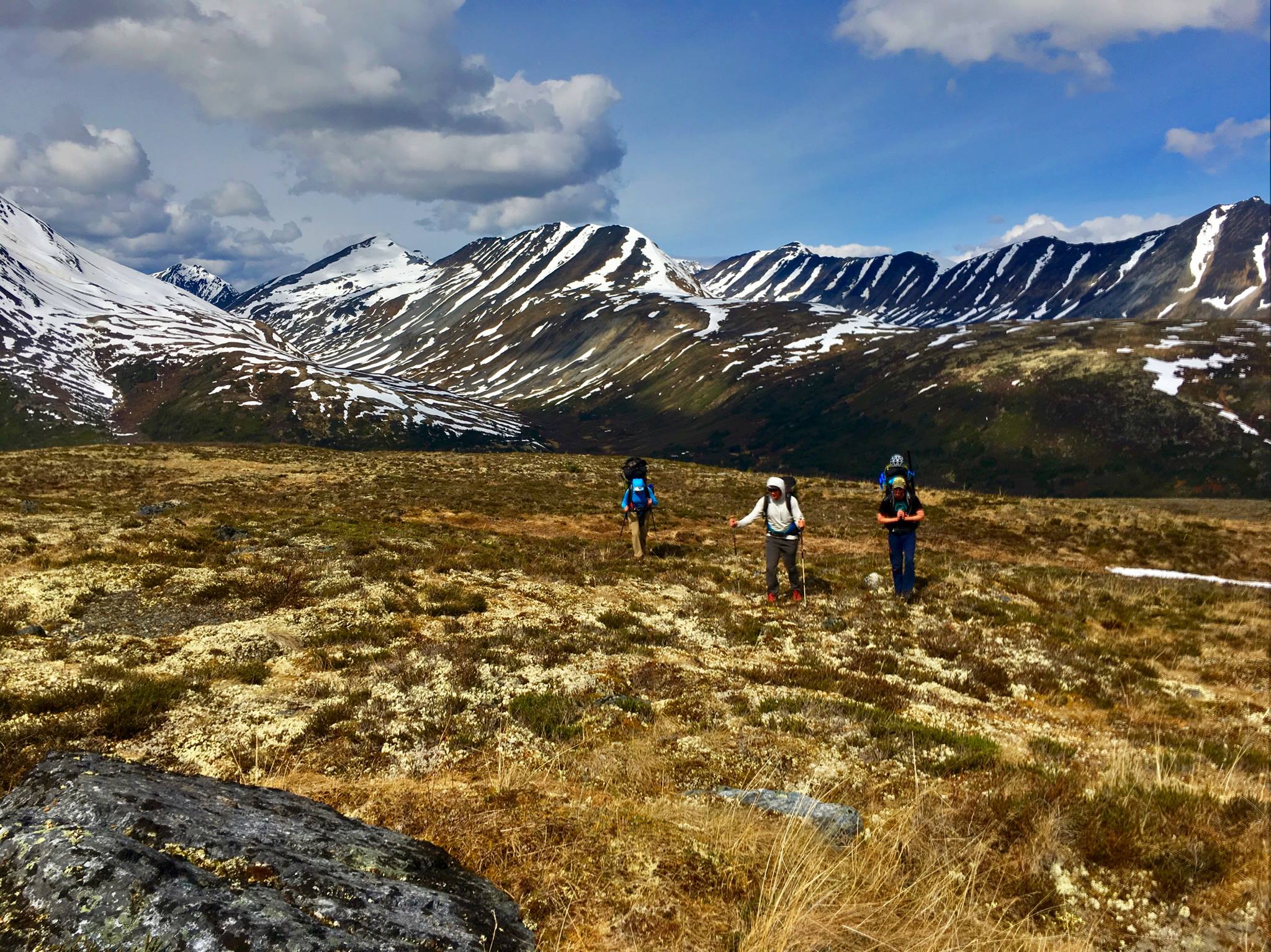 Trekking in the tundra