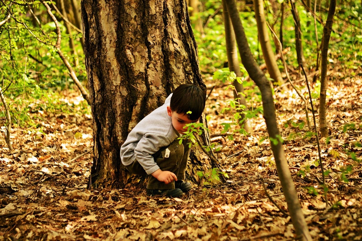 A child kneels in front of a tree in the forest
