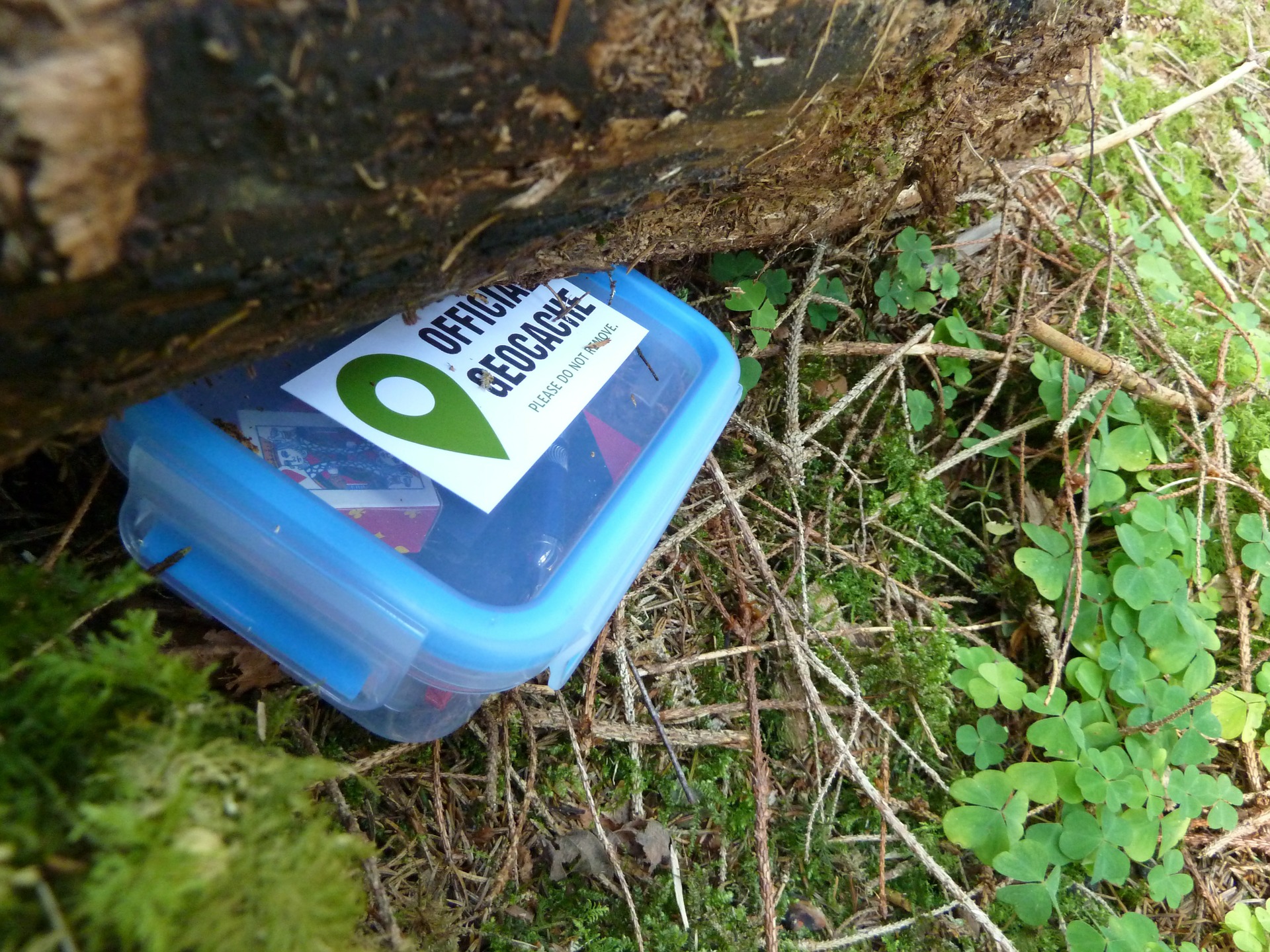 Geocache