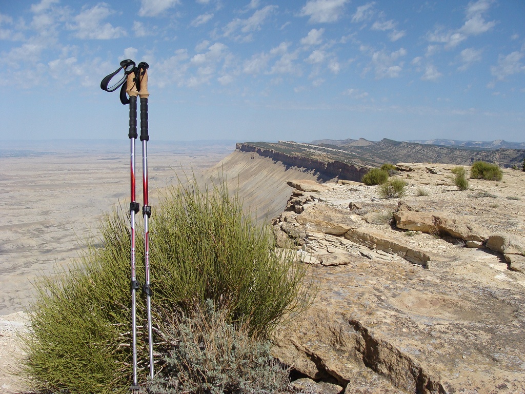 Trekking Poles