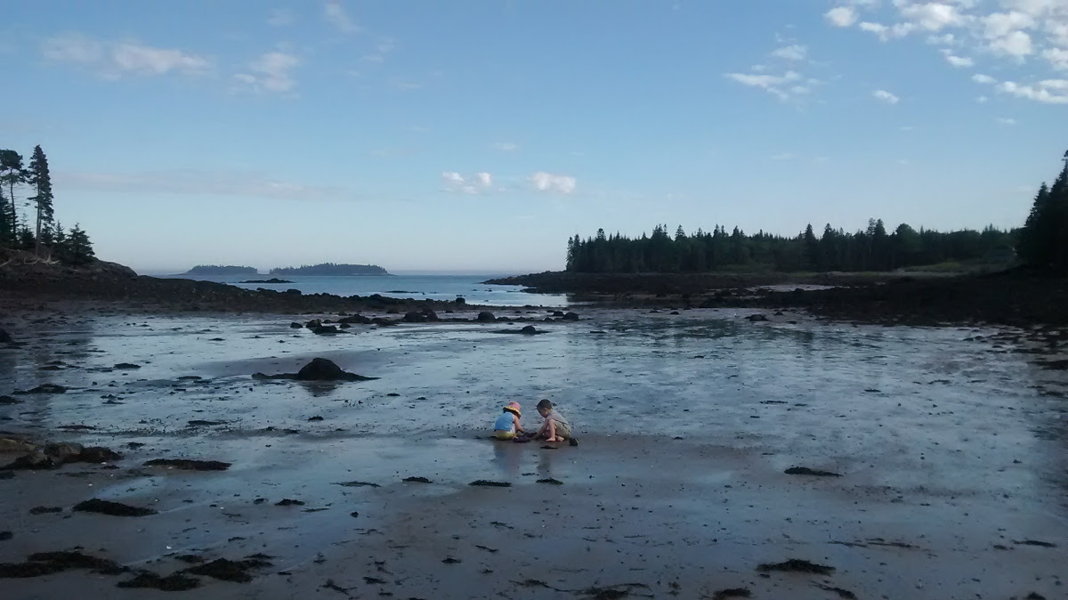 Author's children playing together at the beach