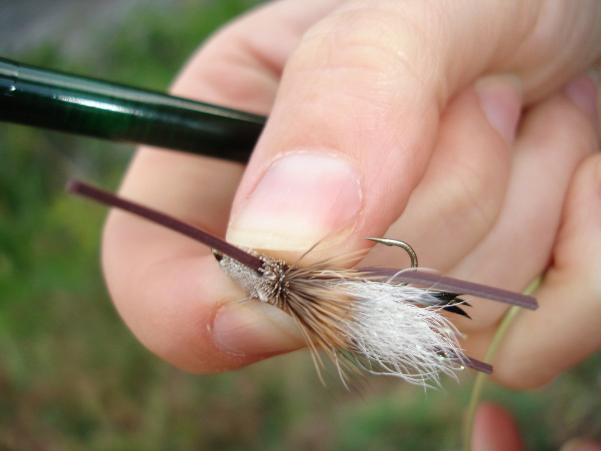 Close-up of hand holding a fly with fishhook