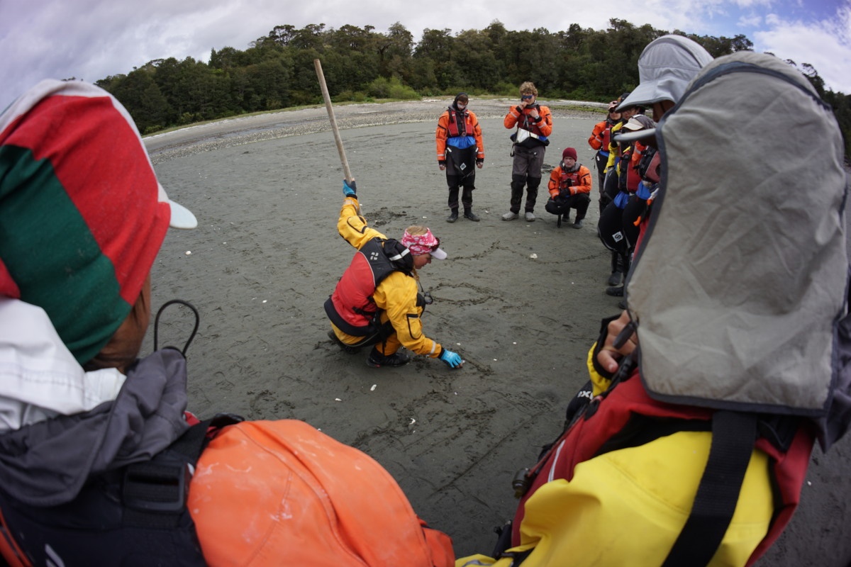 sea kayaking instructor draws in the sand on a beach while students look on