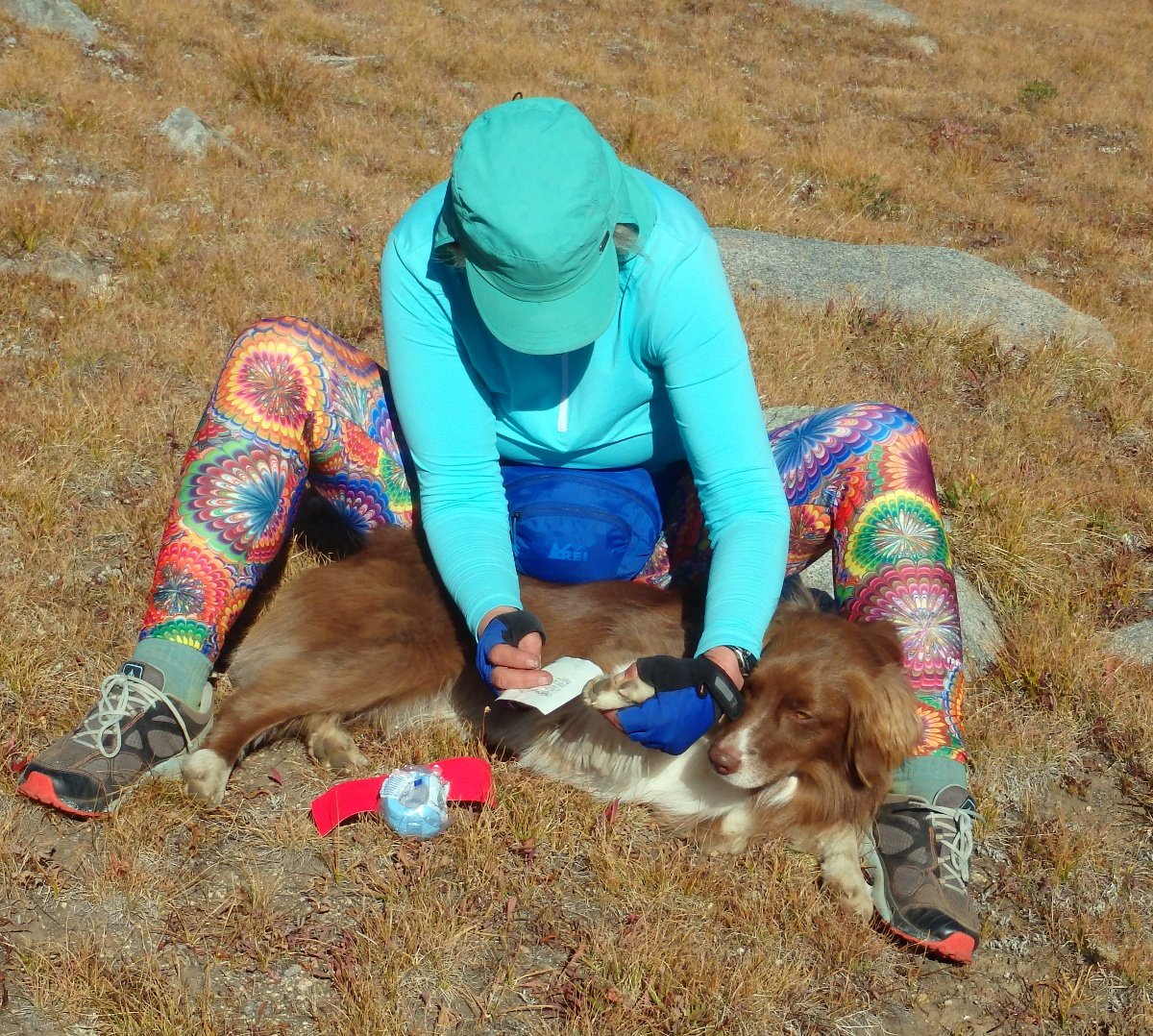 Person wearing colorful patterned leggings sits on the ground while caring for her dog's blistered paw