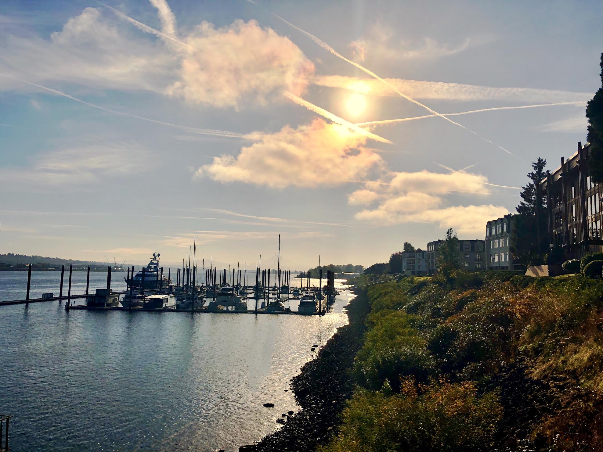 Coast of Portland with Mount Hood in the distance and boats in a marina