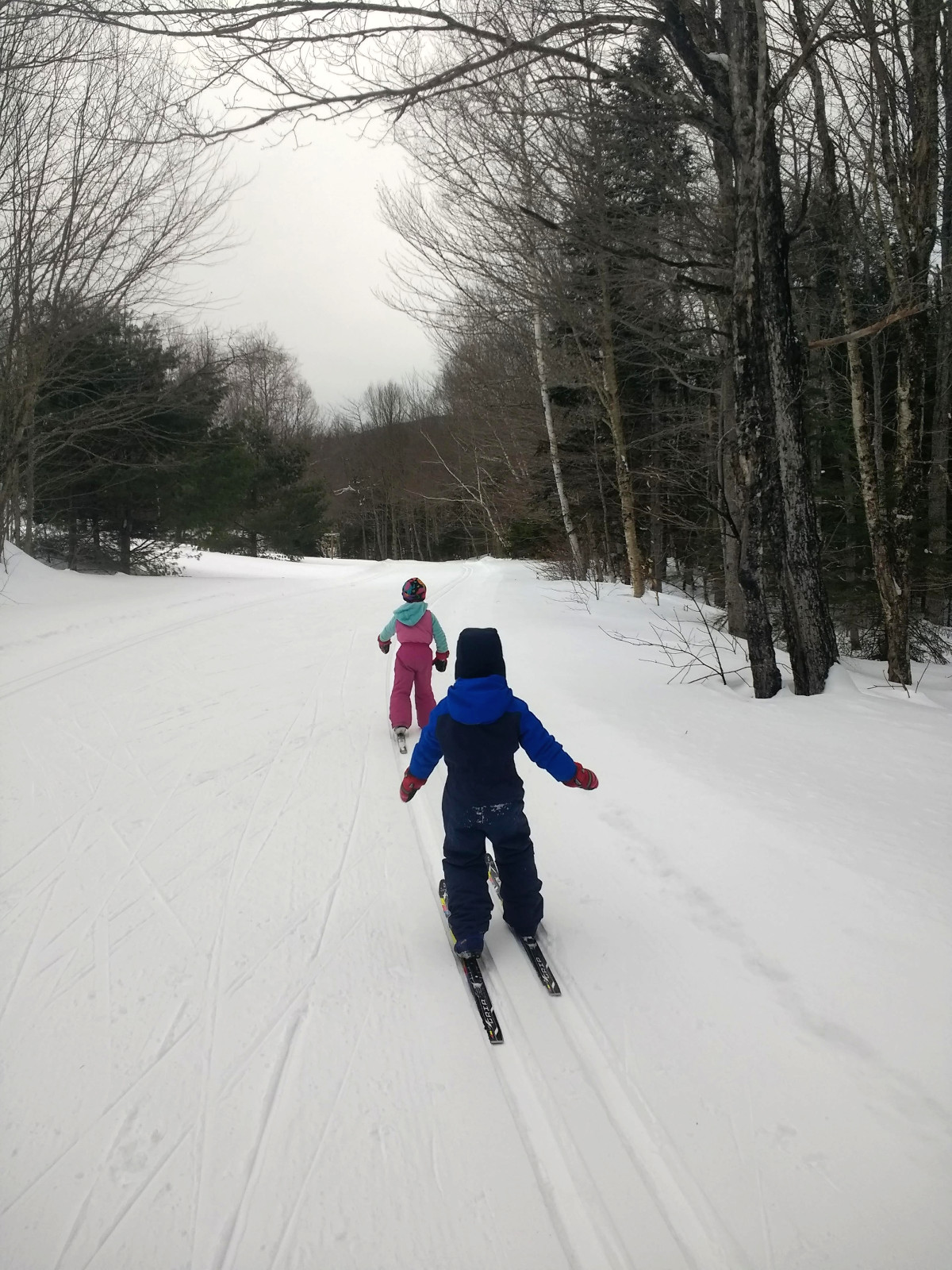 Two children cross country ski