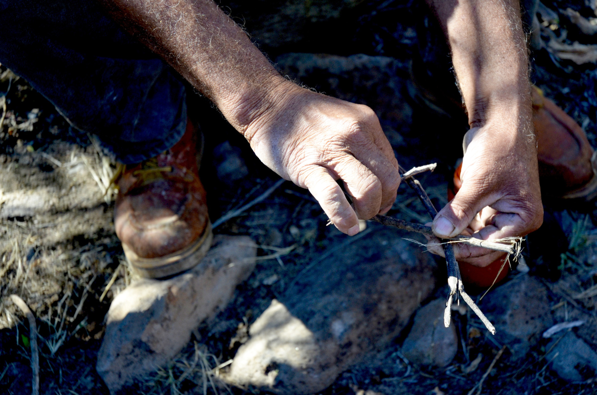 close-up of rancher's hands with sticks