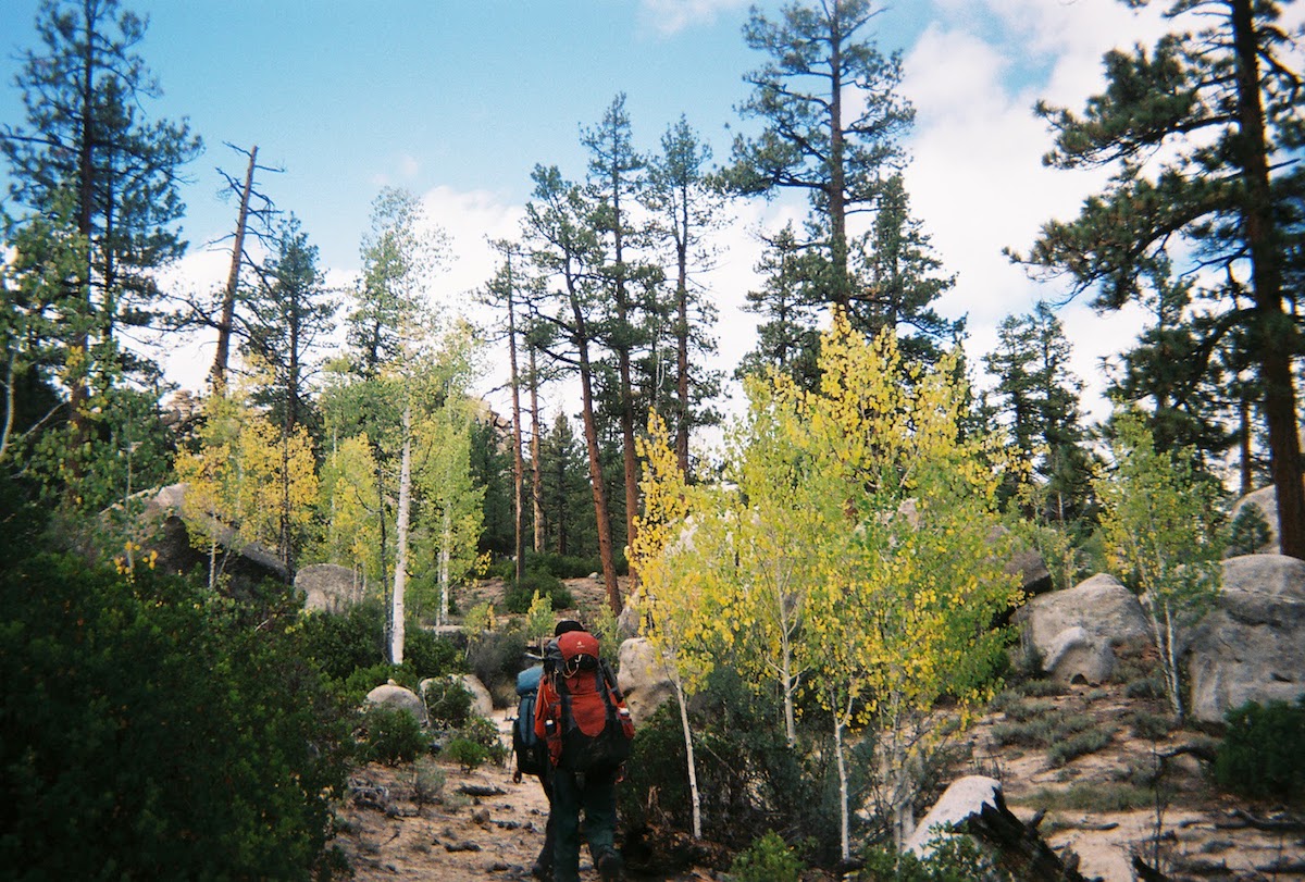 NOLS students hike between trees in Baja California