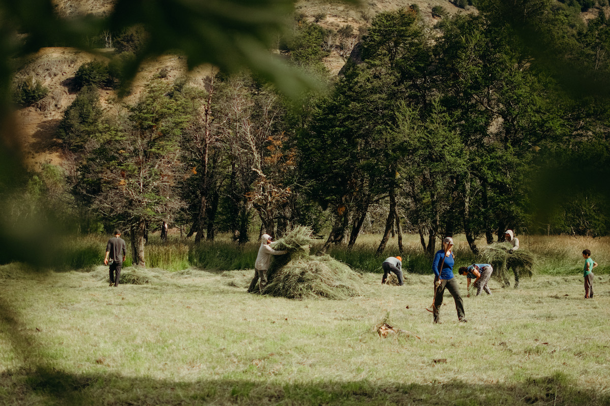 NOLS group hauls grass in a field in Patagonia