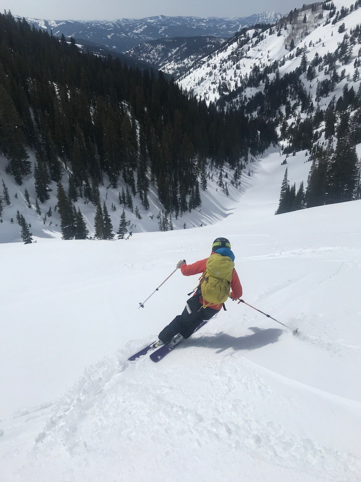 Person wearing a backpack backcountry skis down hill toward pines below