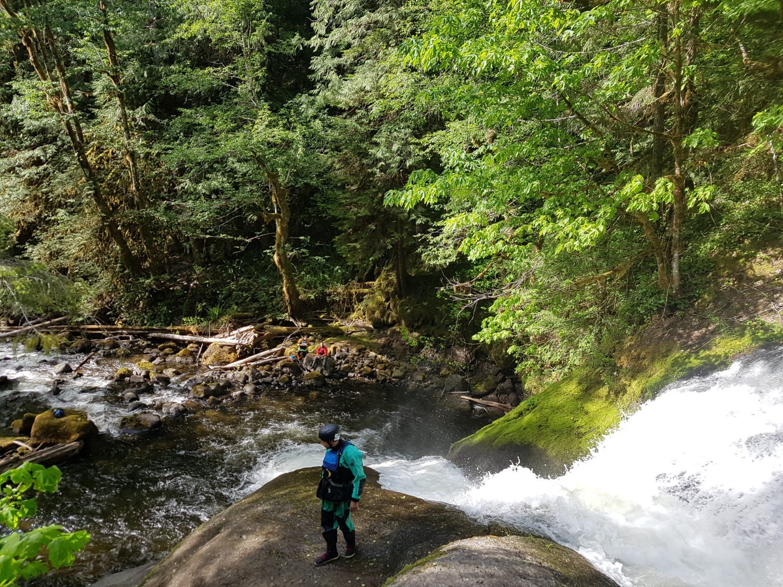 Kayaker scouts a rapid near a large waterfall surrounded in green trees