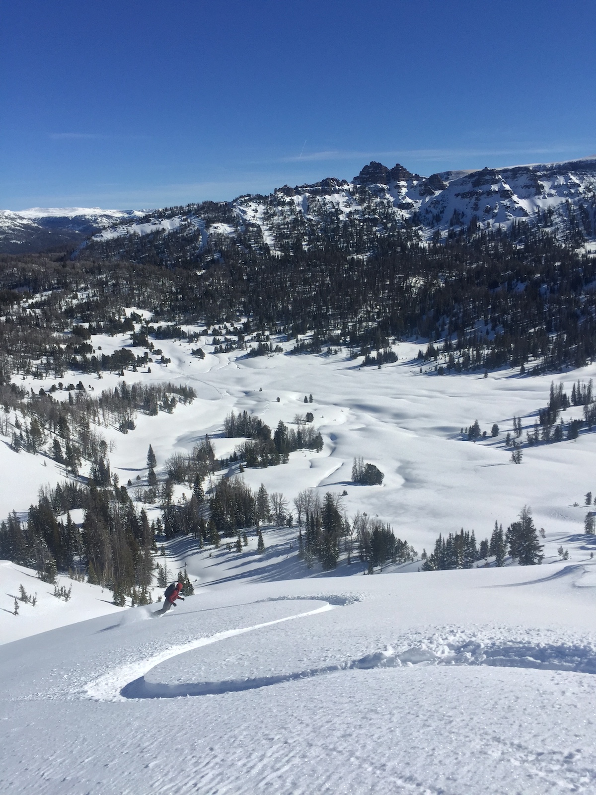 person backcountry skis down a slope of fresh snow on a sunny day in the Rockies, leaving a curving trail