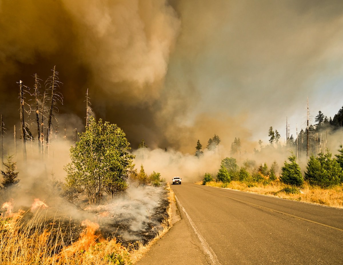 lone vehicle drives along a road with thick smoke from a wildfire