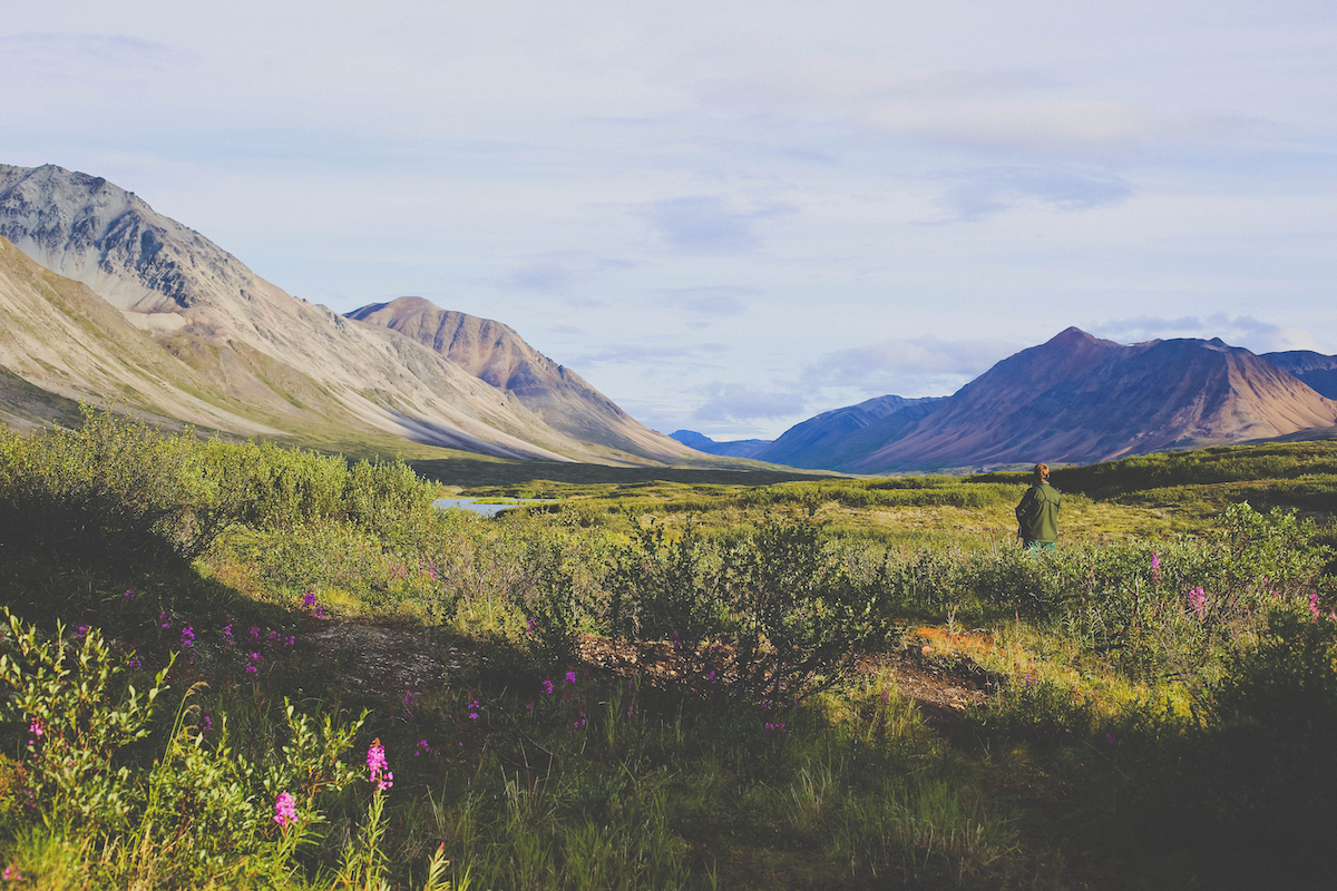 Person standing in a mountain meadow