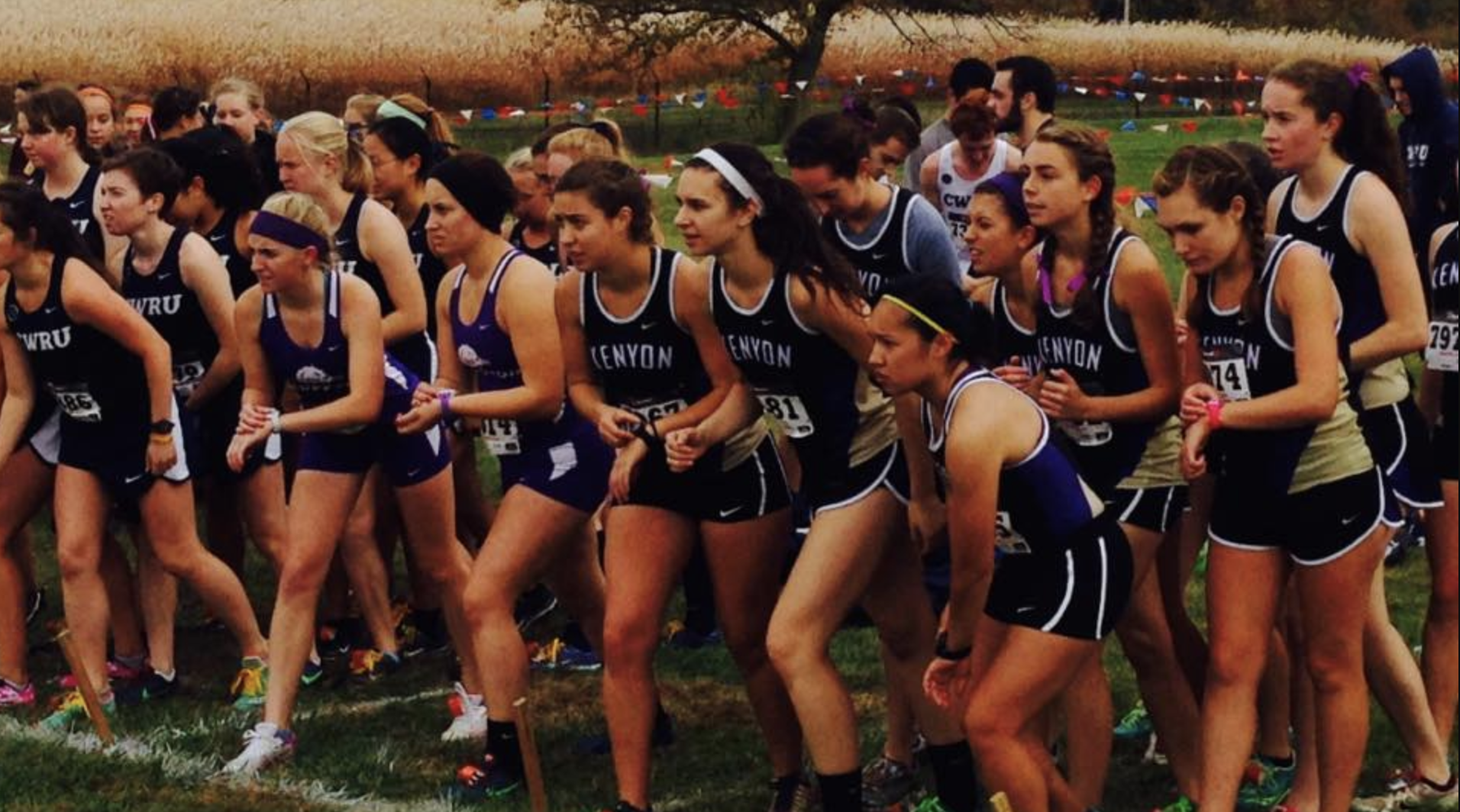 A large group of female runners approach the start line, ready to start running