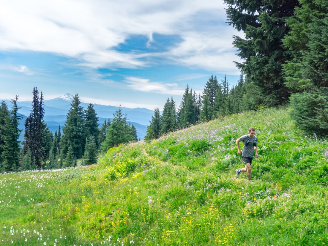 Runner in a grassy meadow lined with pine trees