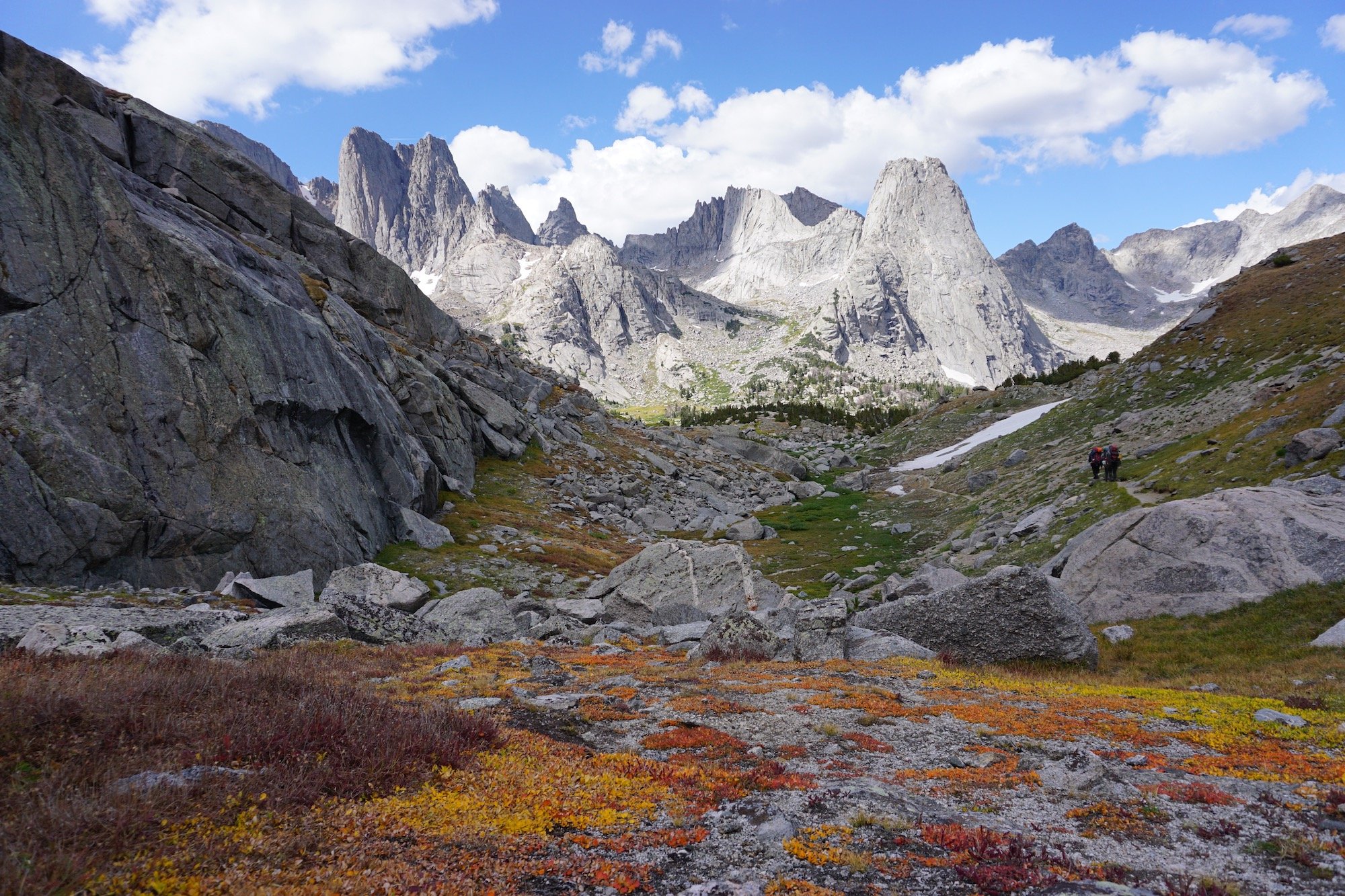 looking over a bed of red and orange plants toward the Cirque of the Towers in Wyoming's Wind River Range