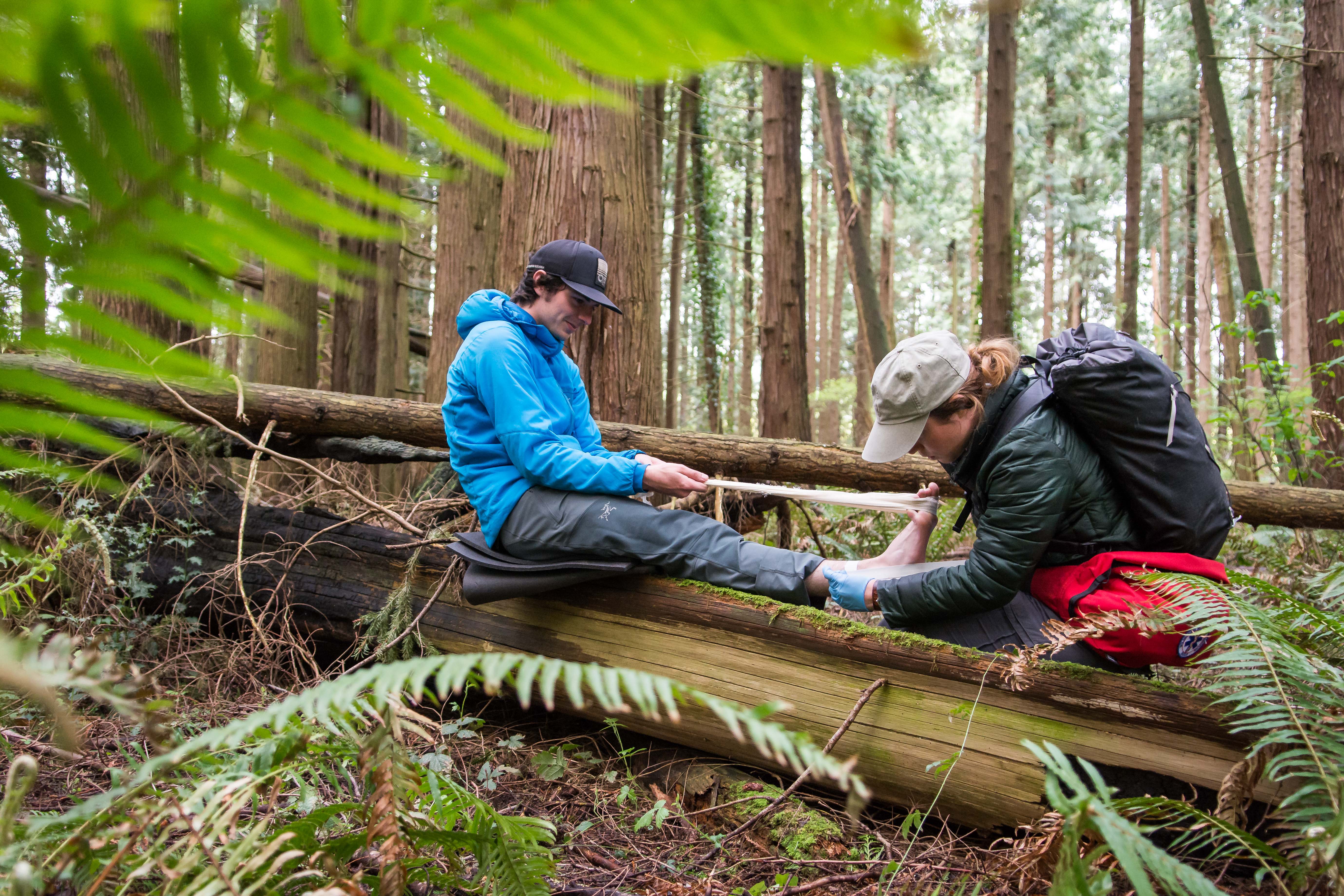 A man and a woman sit on a log while the woman tapes the man's ankle. They are surrounded by ferns and trees in the Pacific Northwest.