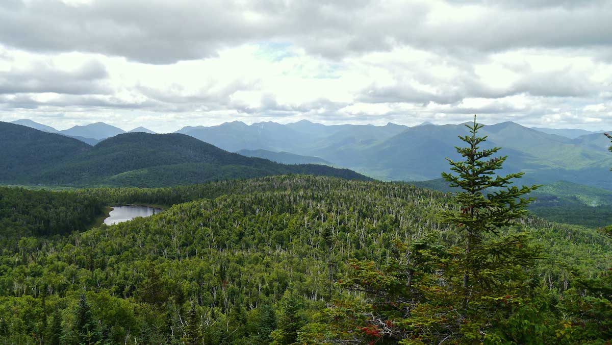 thick green forest in the Adirondacks with calm silvery lake below