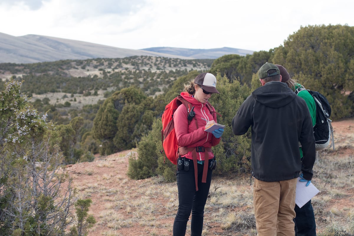 3 first responders discuss their plan with juniper trees in the background