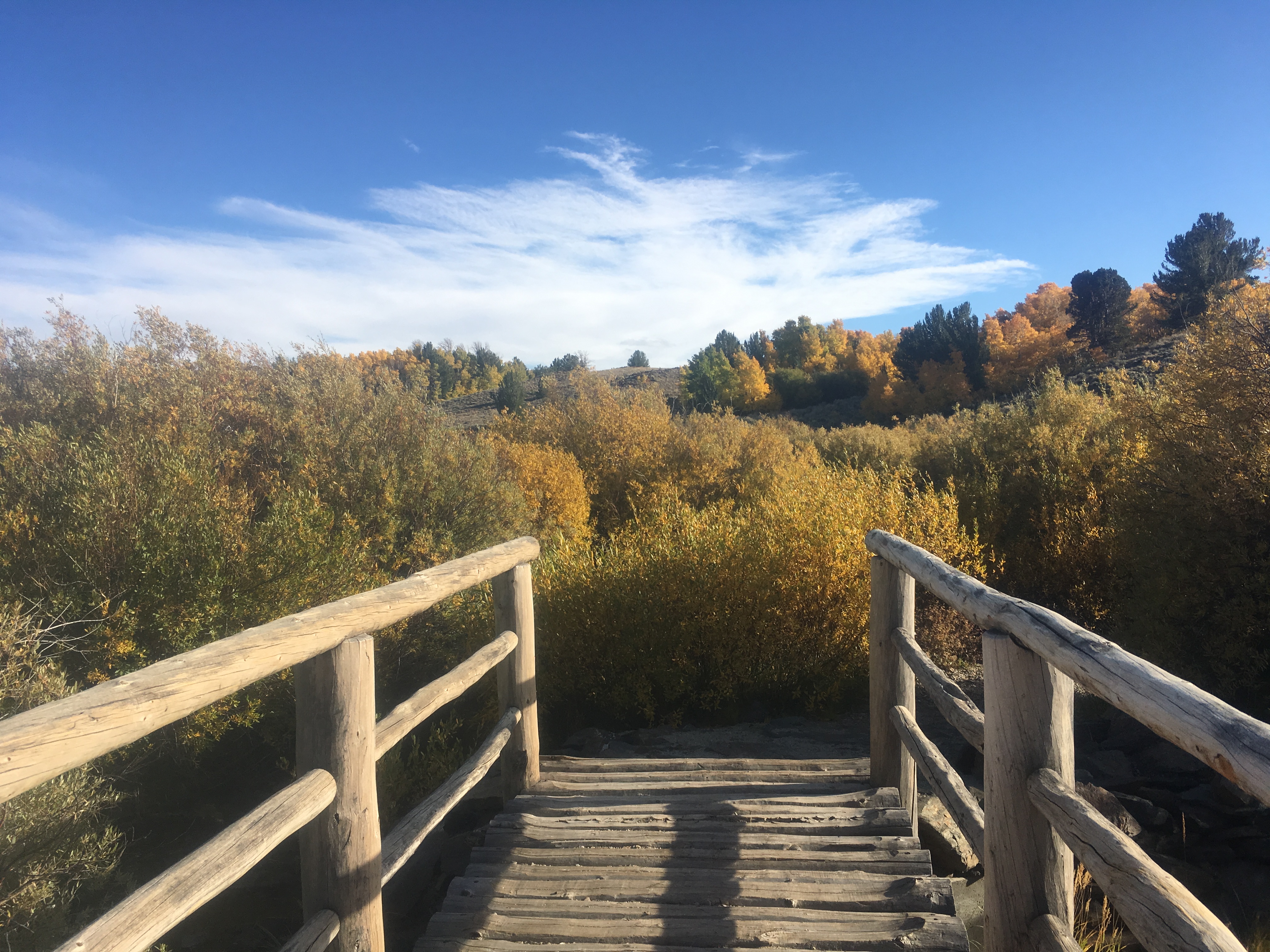 wooden walking bridge near yellow aspens on a hillside