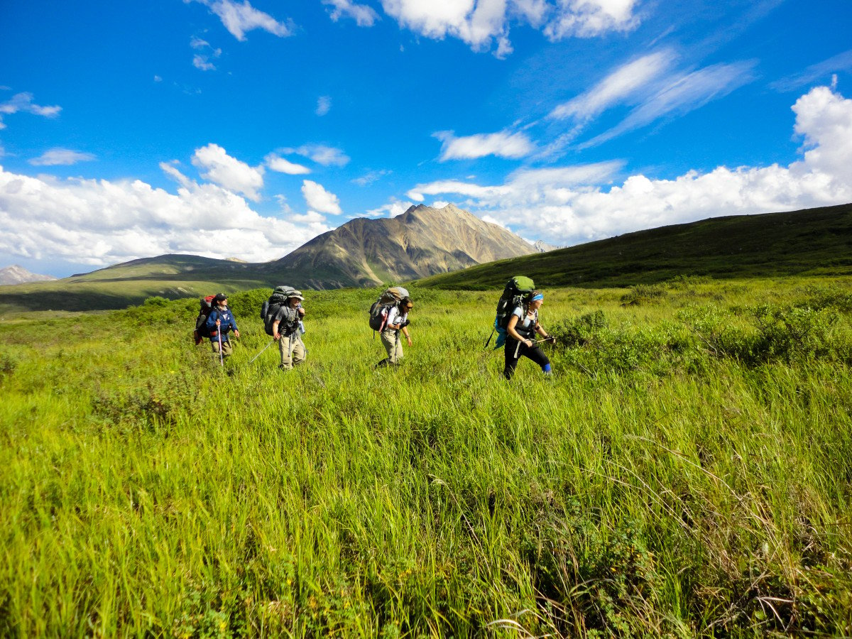 Group hiking through sunny Alaska meadow