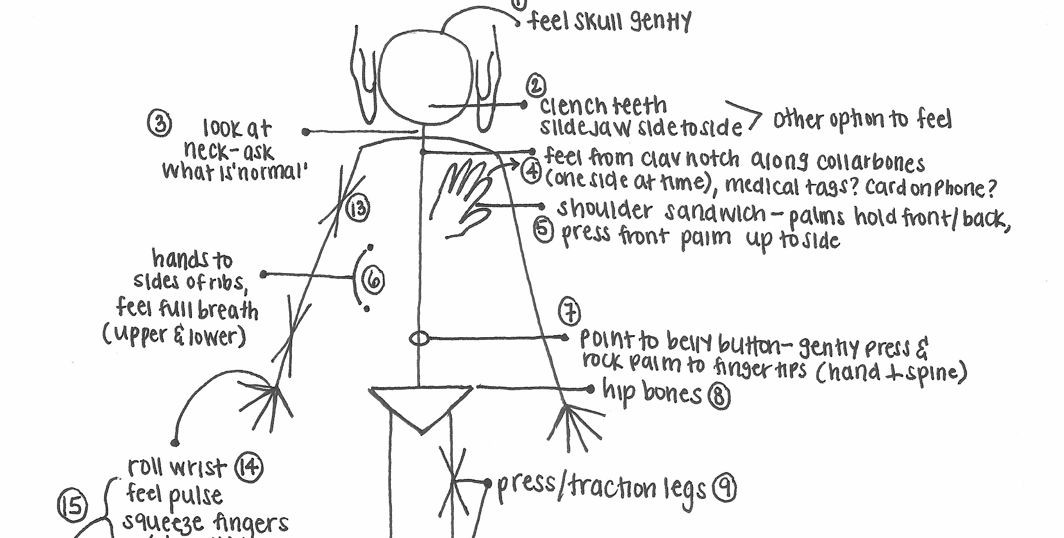 Head to Toe Exam drawing