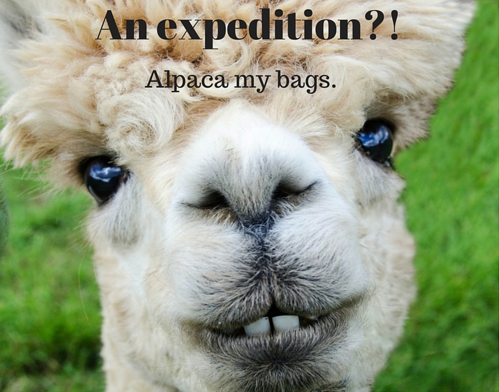 An expedition?! Alpaca my bags.