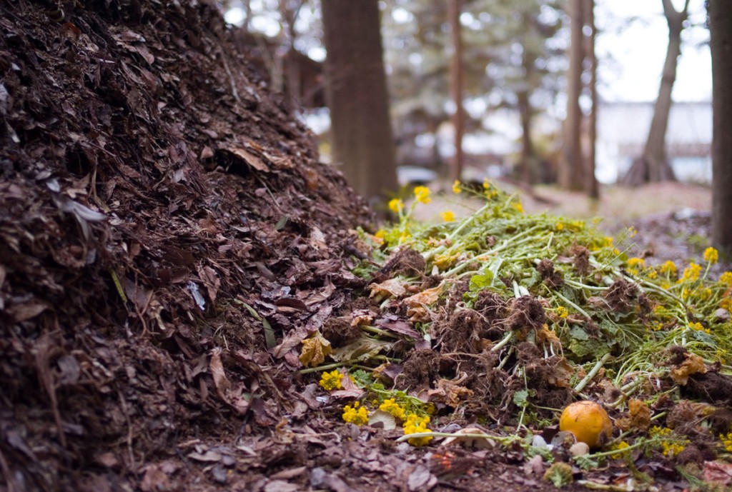 Compost in progress