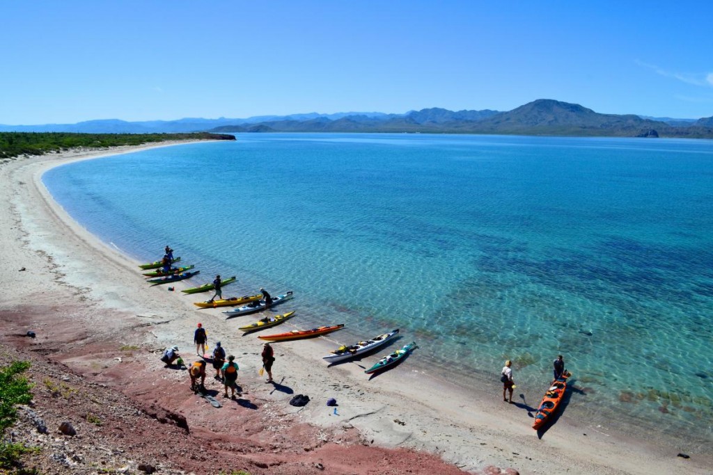 Group of kayaks beached on shore by clear blue water