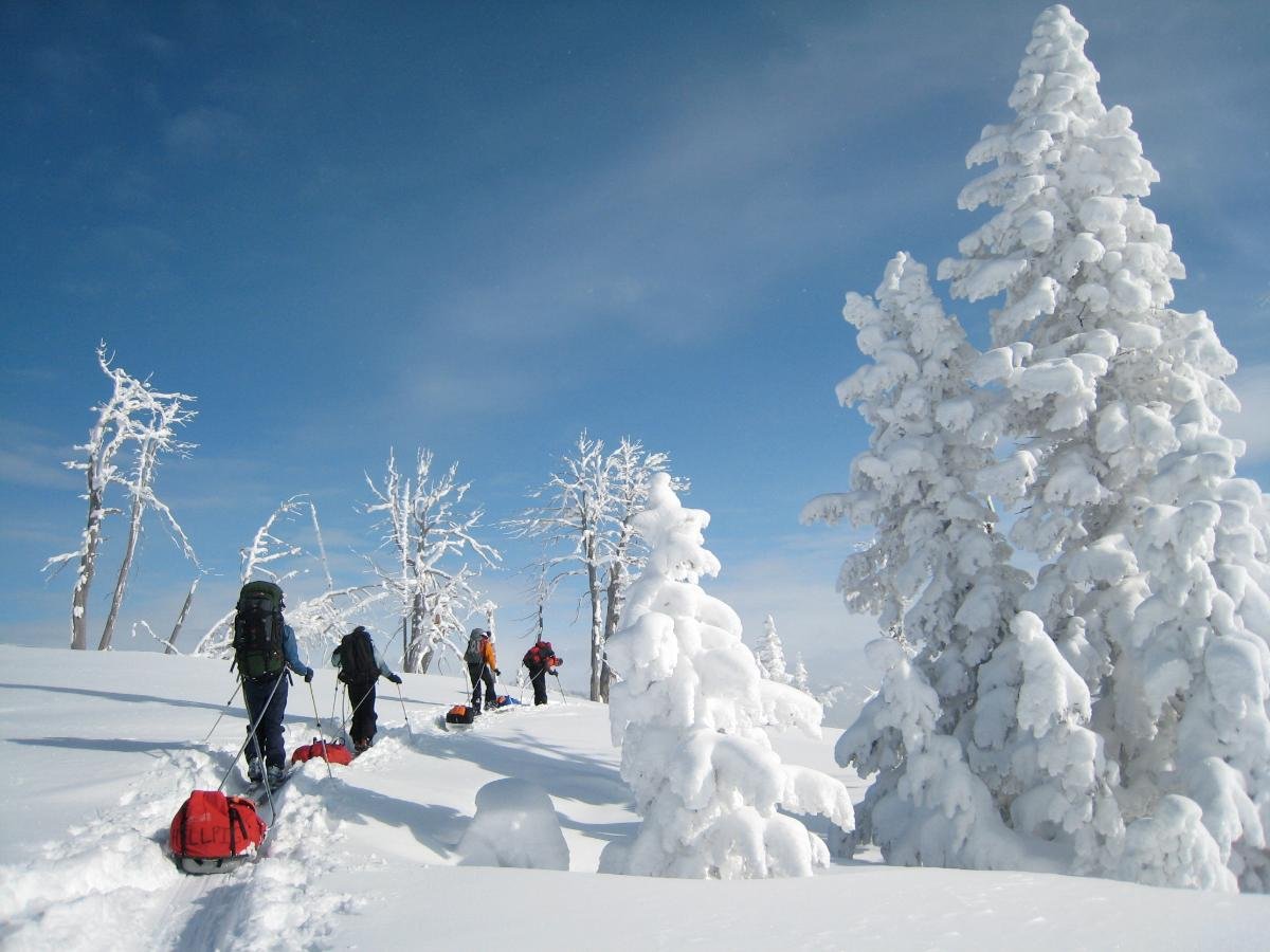 Group pulling sleds on skis across a snow-covered meadow surrounded by snowy trees