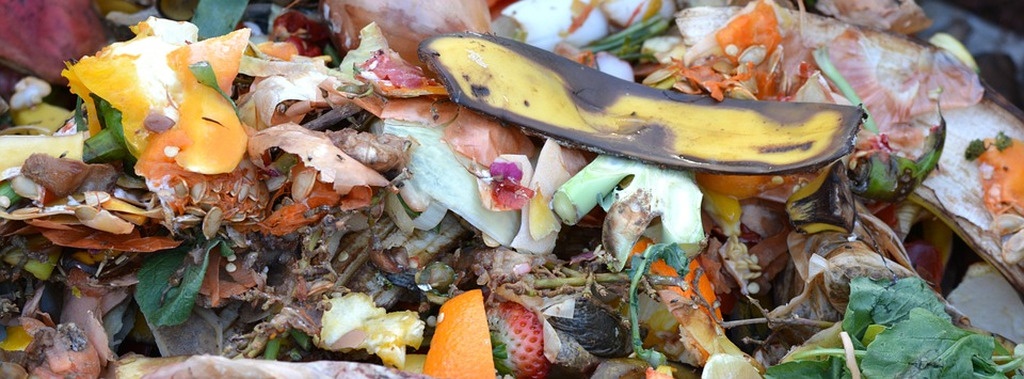 Decomposing fruit and vegetables