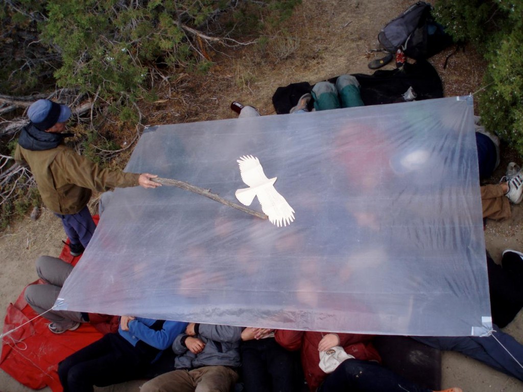 people lie under clear plastic tarp while man points at a white bird silhouette on top