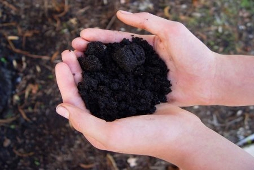 hands holding soil